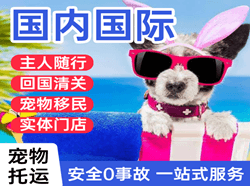 三沙永兴机场托运国际宠物托运 【国
